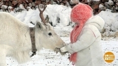 С праздником, саамы! Доброе утро. Фрагмент