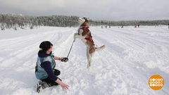 Солнце, добавь яркости! Доброе утро. Фрагмент 