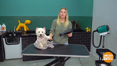 Погуляли? Мойте лапы! Доброе утро. Фрагмент