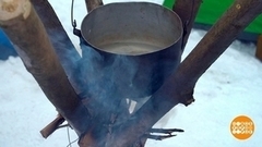 Еловый чай согреет! Доброе утро. Фрагмент 