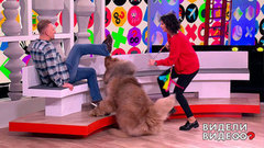 Видели видео? Анонс