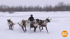 Быстрее, мой олень! Доброе утро. Фрагмент 