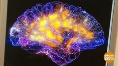 Память: перезагрузка. Доброе утро. Фрагмент 