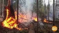 Пожарные готовятся к летнему сезону. Доброе утро. Фрагмент 