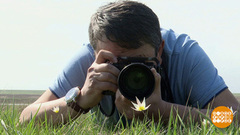 Первые тюльпаны. Доброе утро. Фрагмент