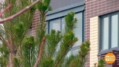 Я б в айтишники пошел! Доброе утро. Фрагмент