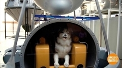 Космические дни на ВДНХ. Доброе утро. Фрагмент