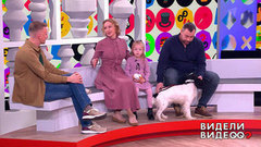 Видели видео? Анонс