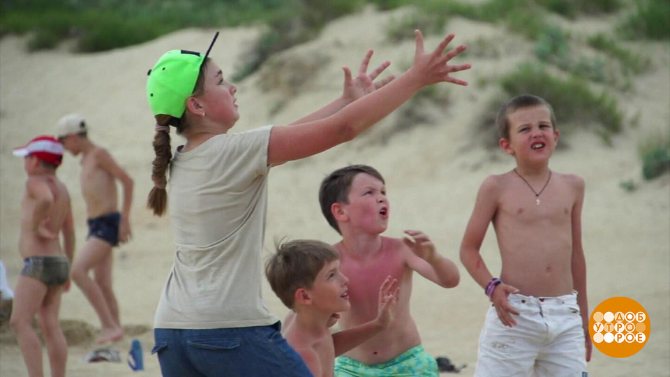 Детский лагерь на лето: доверяй, но проверяй! Доброе утро. Фрагмент выпуска от 20.04.2023