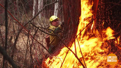С огнем не шутят! Доброе утро. Фрагмент