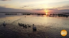 И все это — Волга! Доброе утро. Суббота. Фрагмент