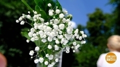 «Белый цветок» ждет гостей. Доброе утро. Суббота. Фрагмент 