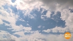 Эти летние дожди... Доброе утро. Фрагмент 