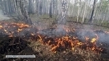 Сотни человек тушат природные пожары в Свердловской области