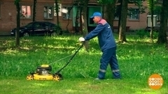 Сезон покоса травы: просьба не беспокоить!  Доброе утро. Фрагмент 