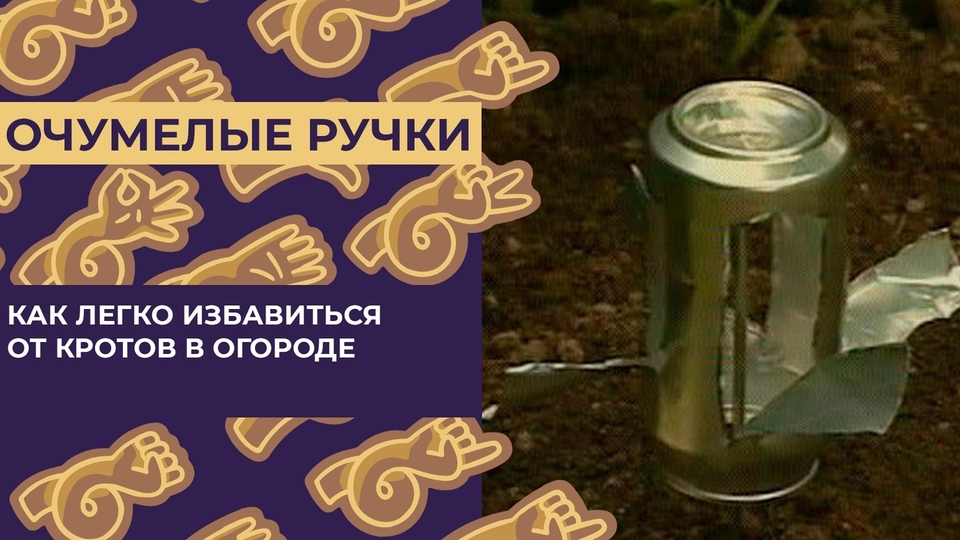 Как избавиться от кротов на дачном участке, в огороде навсегда?