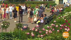 Где в городе жарче всего? Доброе утро. Фрагмент 