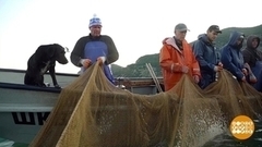 Ловись, рыбка, большая! И побольше! Доброе утро. Фрагмент