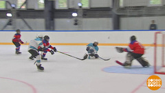 Будет где побегать и поиграть! Доброе утро. Фрагмент 