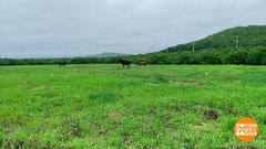 Дальневосточный гектар: что нового? Доброе утро. Фрагмент