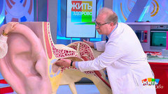 «Ухо пловца»: как избежать наружного отита. Жить здорово! Фрагмент