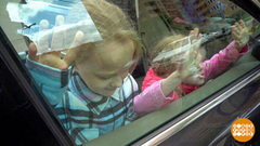 Не оставляйте в машине детей! И животных тоже. Доброе утро. Фрагмент 