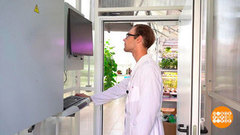 Профессионал — это звучит! Доброе утро. Фрагмент 