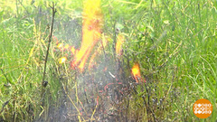 Не жгите костры! Доброе утро. Фрагмент 