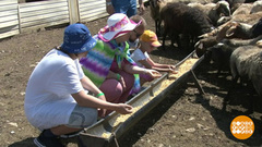 Агротуризм: и коров подоить, и порыбачить… Доброе утро. Фрагмент