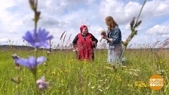 Ильин день: приметы и традиции. Доброе утро. Фрагмент 