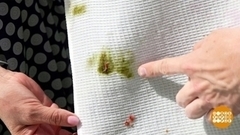 И никаких пятен! Доброе утро. Фрагмент 