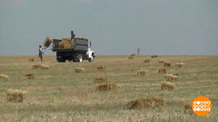 Стога налево, стога направо. Доброе утро. Фрагмент