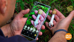 По грибы с Сергеем Бабаевым. Доброе утро. Фрагмент