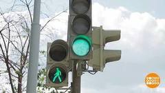 Ты такой умный, светофор! Доброе утро. Суббота. Фрагмент