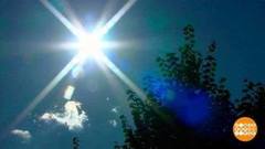 Жара сухая и влажная. Доброе утро. Суббота. Фрагмент