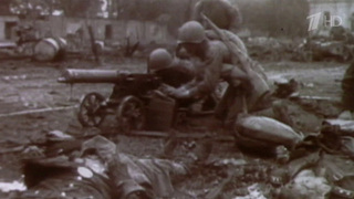 80 лет назад, 13 августа 1943-го, началась Донбасская наступательная операция
