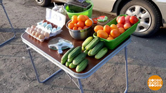 Дачный урожай: где продать? Доброе утро. Фрагмент 