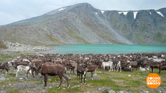 Республика Коми: это надо видеть! Доброе утро. Фрагмент 