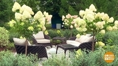 Фестиваль исторических садов в Царицыне. Доброе утро. Фрагмент 