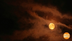 Не луна, а просто супер! Доброе утро. Фрагмент 