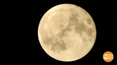 Луна запускает флешмоб! Доброе утро. Фрагмент 