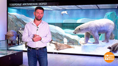 Матвей Шпаро: «Там, где Россия». Доброе утро. Фрагмент 