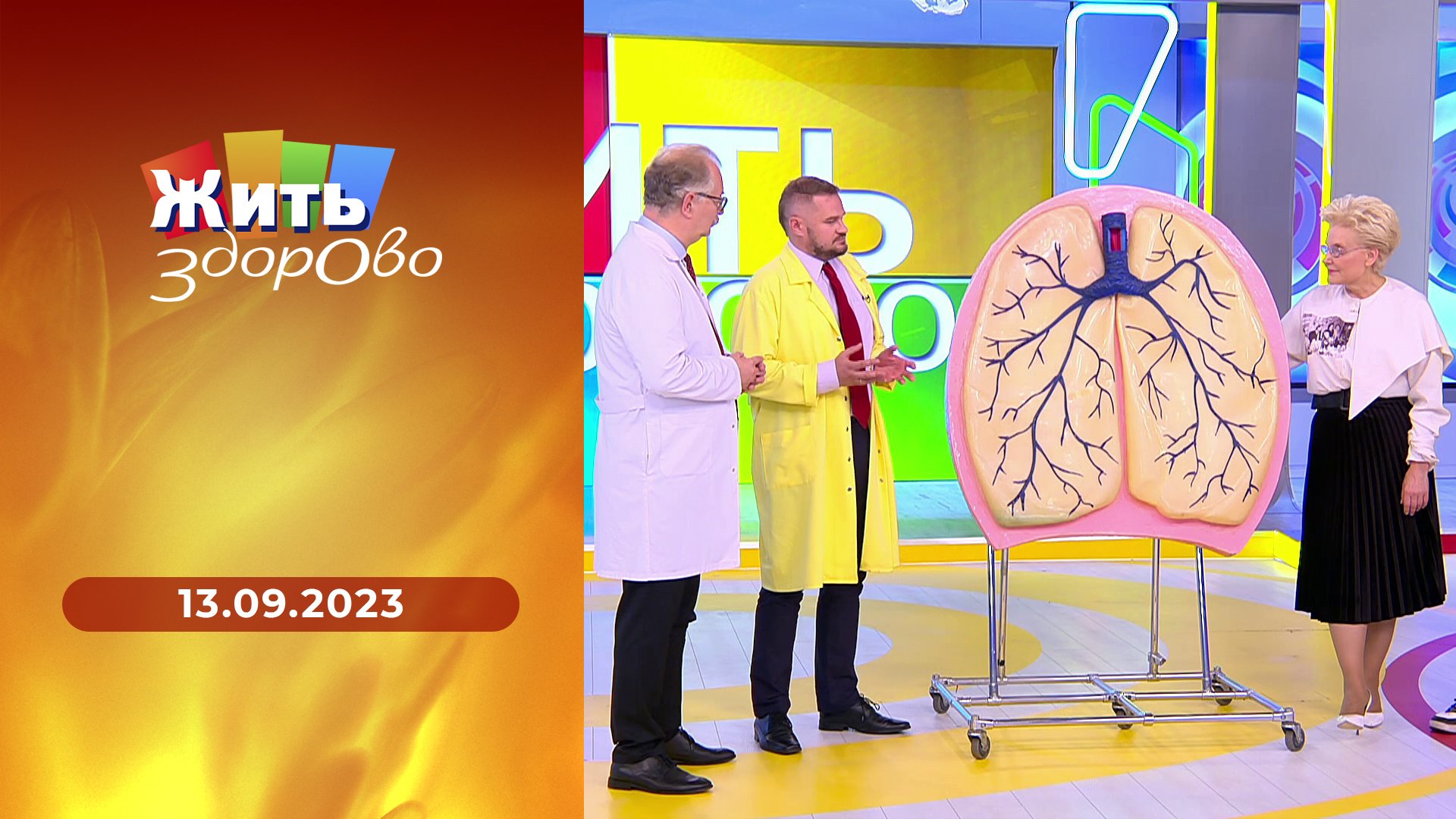  Влияние образа жизни на потенцию