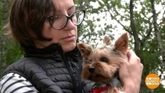 «Гипоаллергенность»: правда и мифы. Доброе утро. Фрагмент