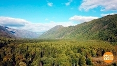 Здесь будет город-лес! Доброе утро. Суббота. Фрагмент 