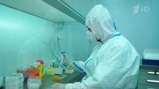 В Роспотребнадзоре предупредили об опасности нового штамма коронавируса пирола