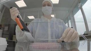 В Роспотребнадзоре прокомментировали новость о появлении нового штамма коронавируса