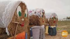 Что можно сделать из сена? Доброе утро. Фрагмент