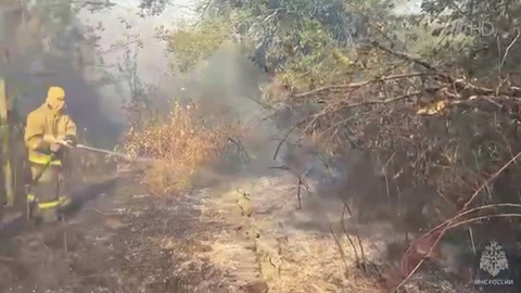 В Краснодарском крае тушат природный пожар на окраине поселка Южный склон в Темрюкском районе