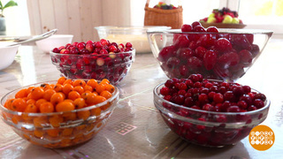Осенние ягоды: кислые, зато полезные. Доброе утро. Фрагмент 